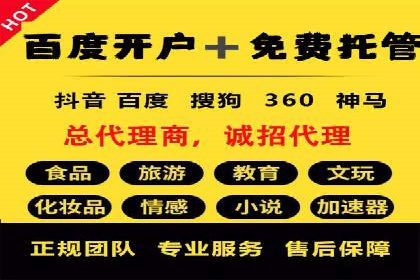 百度竞价推广运营策略：成功案例解析